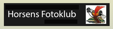 Horsens fotoklub 